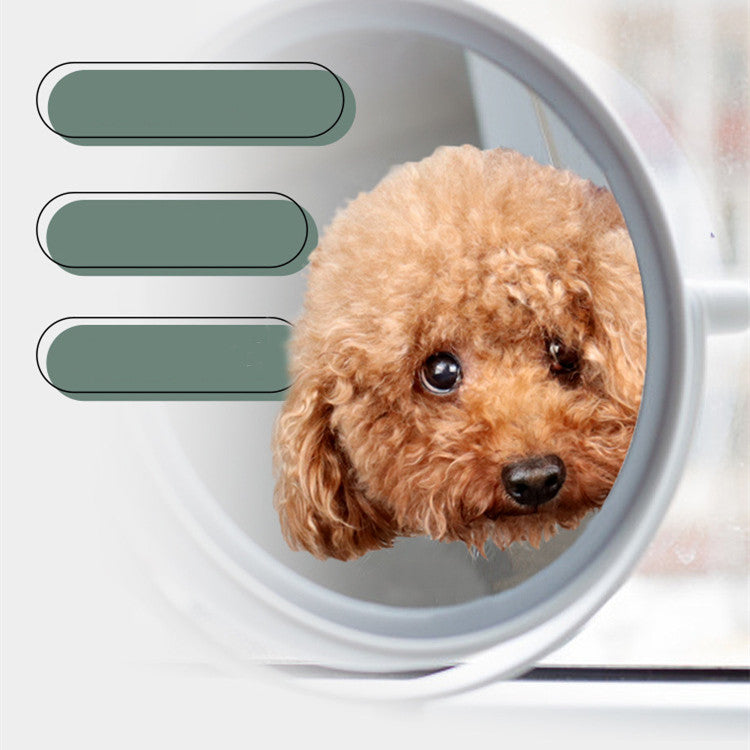 Cat Grooming Hammock