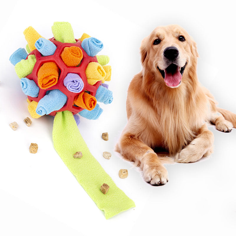 Pet Sniff & Snack Puzzle Ball