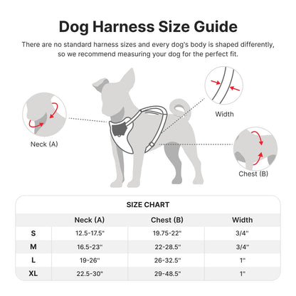 Adjustable Embroidered Stylish Dog Harness