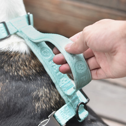 Adjustable Embroidered Stylish Dog Harness